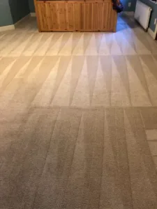 Pet Stain
