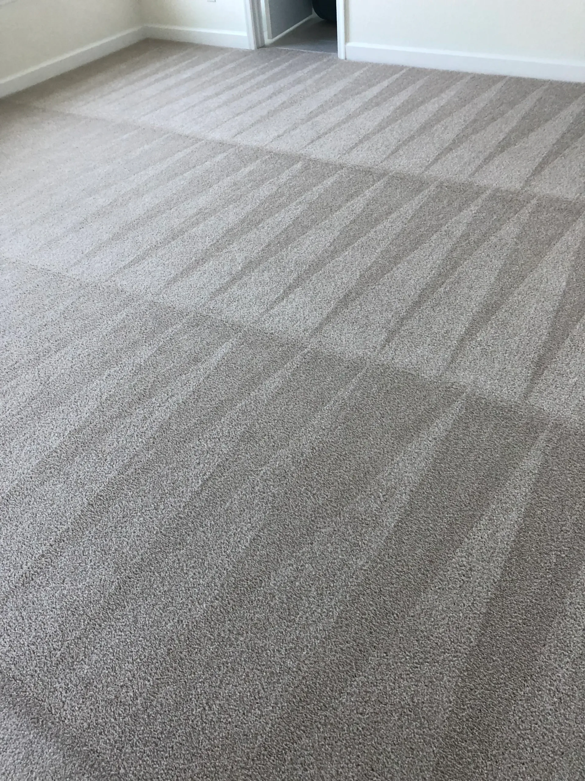 carpet cleaning near me