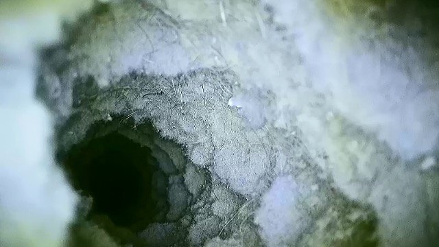 Dryer Vent Inspection Dryer Vent Cleaning Virginia Beach