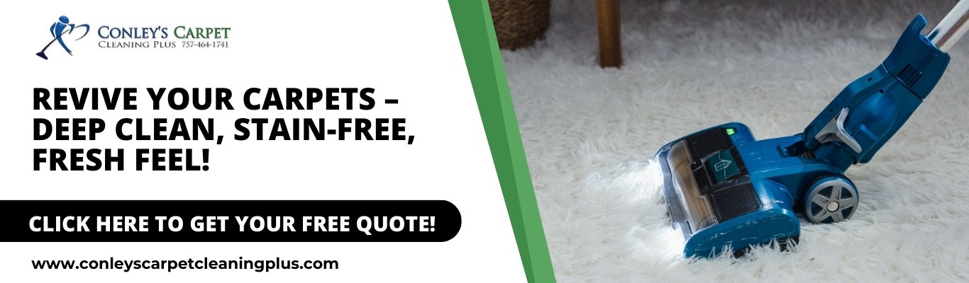 CARPET STEAM CLEANER