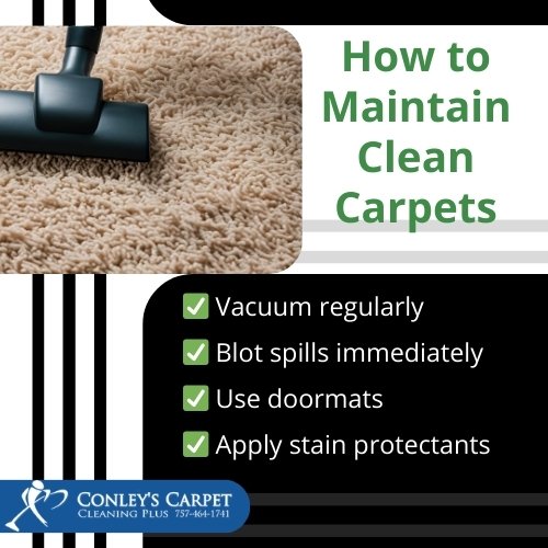 how to maintain clean carpets