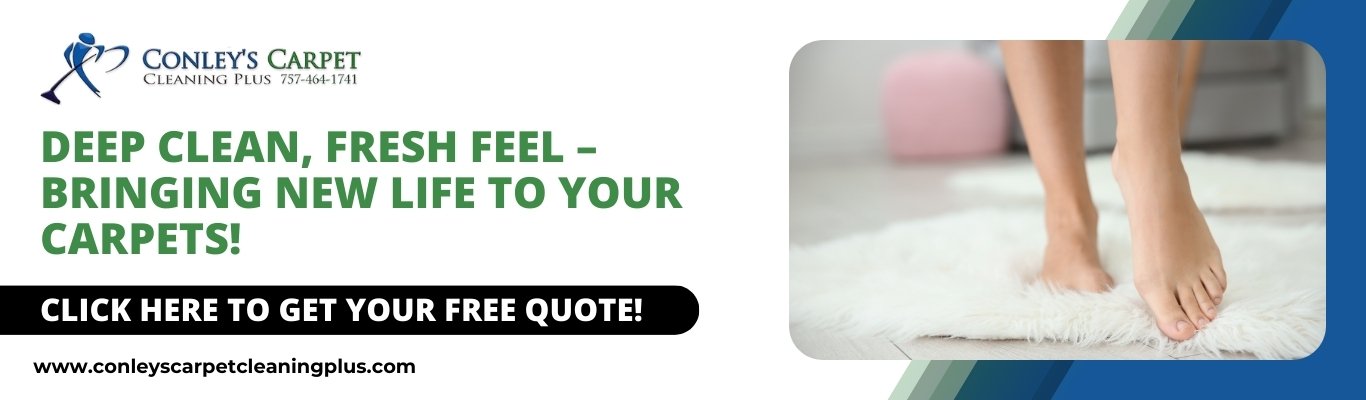 carpet cleaning in virginia beach
