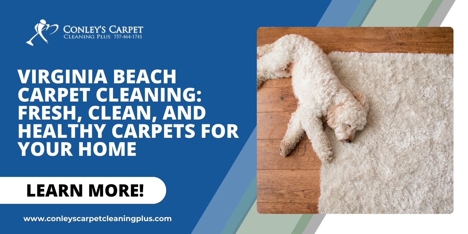 Virginia beach carpet cleaning