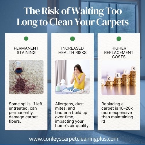 carpet cleaning company virginia beach va
