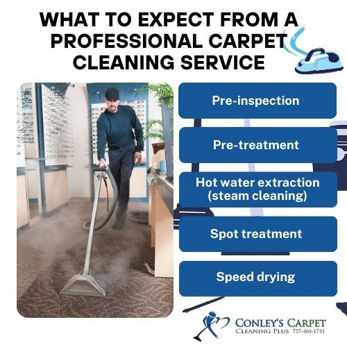 professional carpet cleaning virginia beach