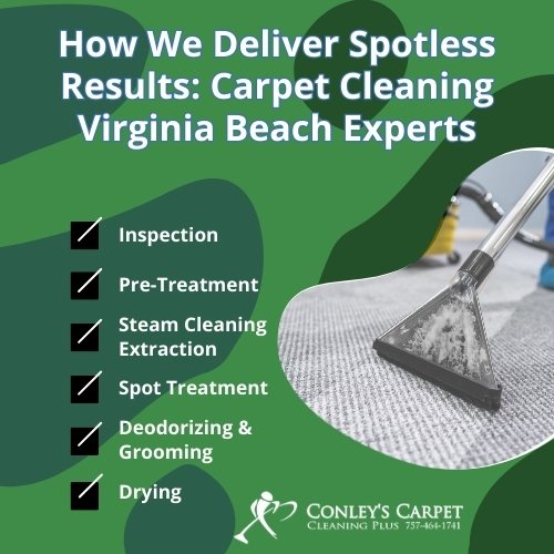 carpet cleaning virginia beach