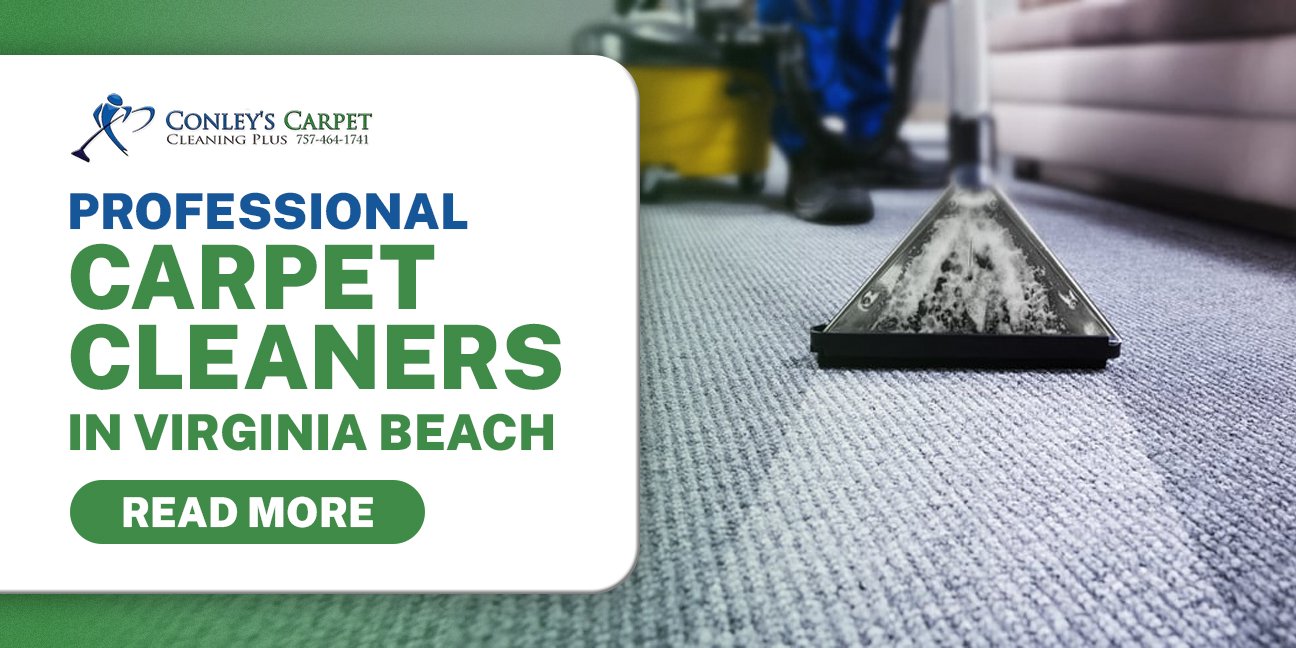 Featured Image for Professional Carpet Cleaners