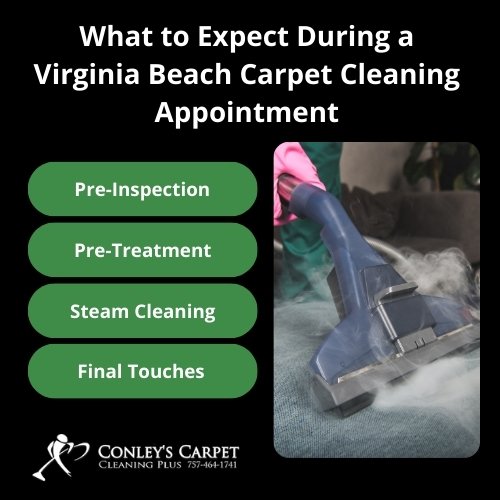 virginia beach carpet cleaning