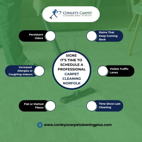 signs for a professional carpet cleaning norfolk