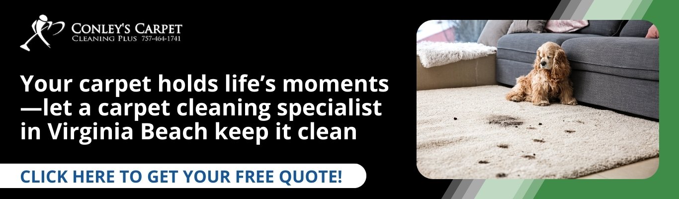 carpet cleaning specialist virginia beach